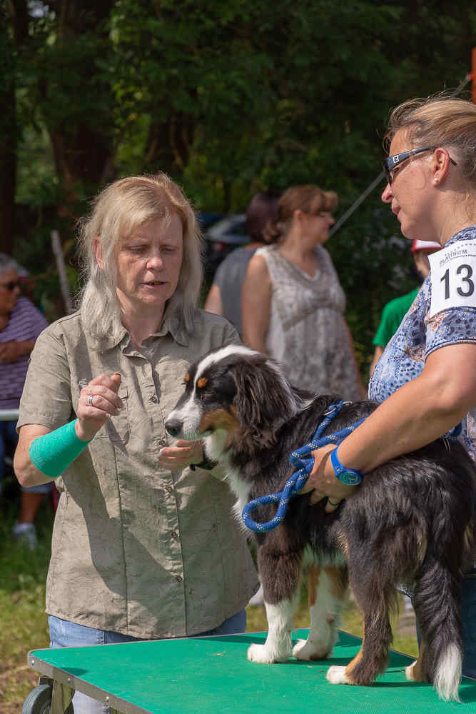 Mini-Aussie - The sunny side of Life