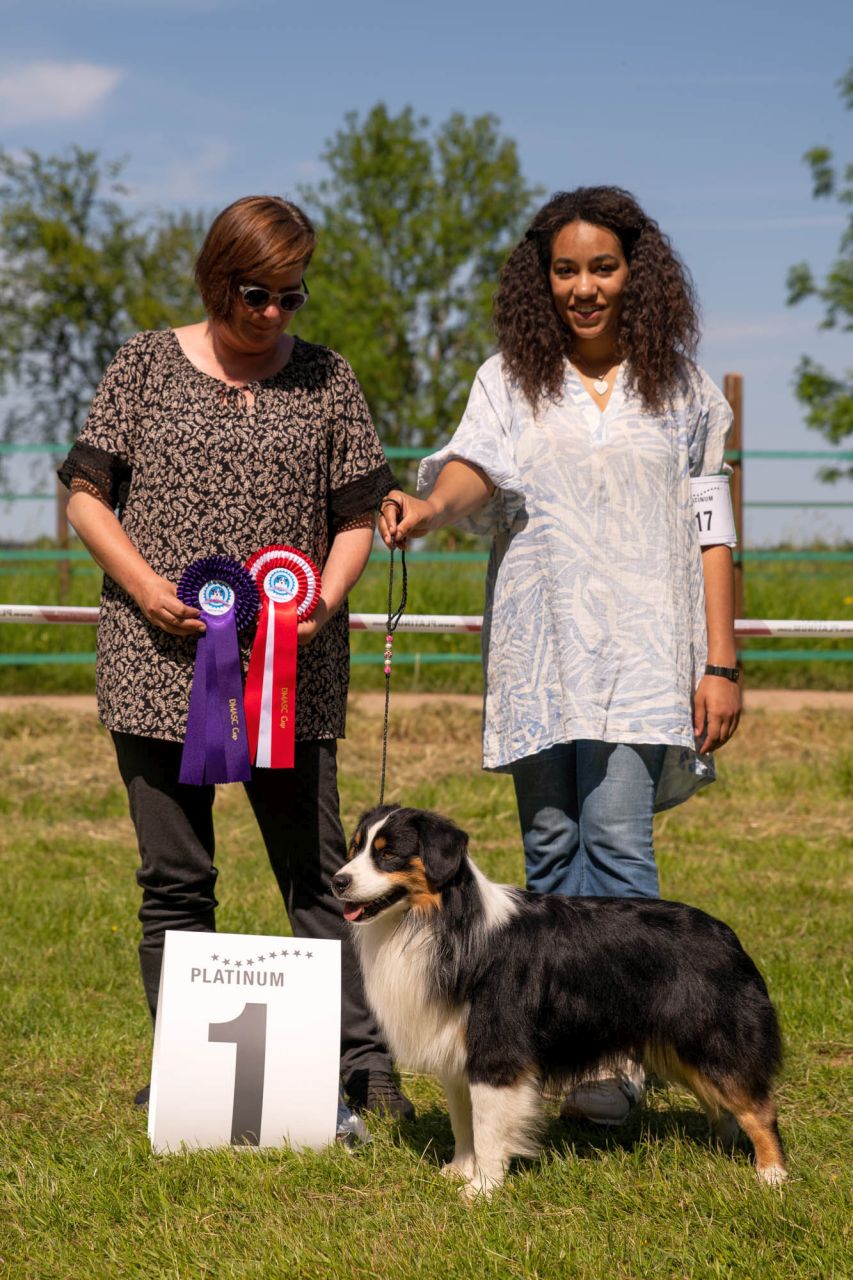 Mini-Aussie - The sunny side of Life