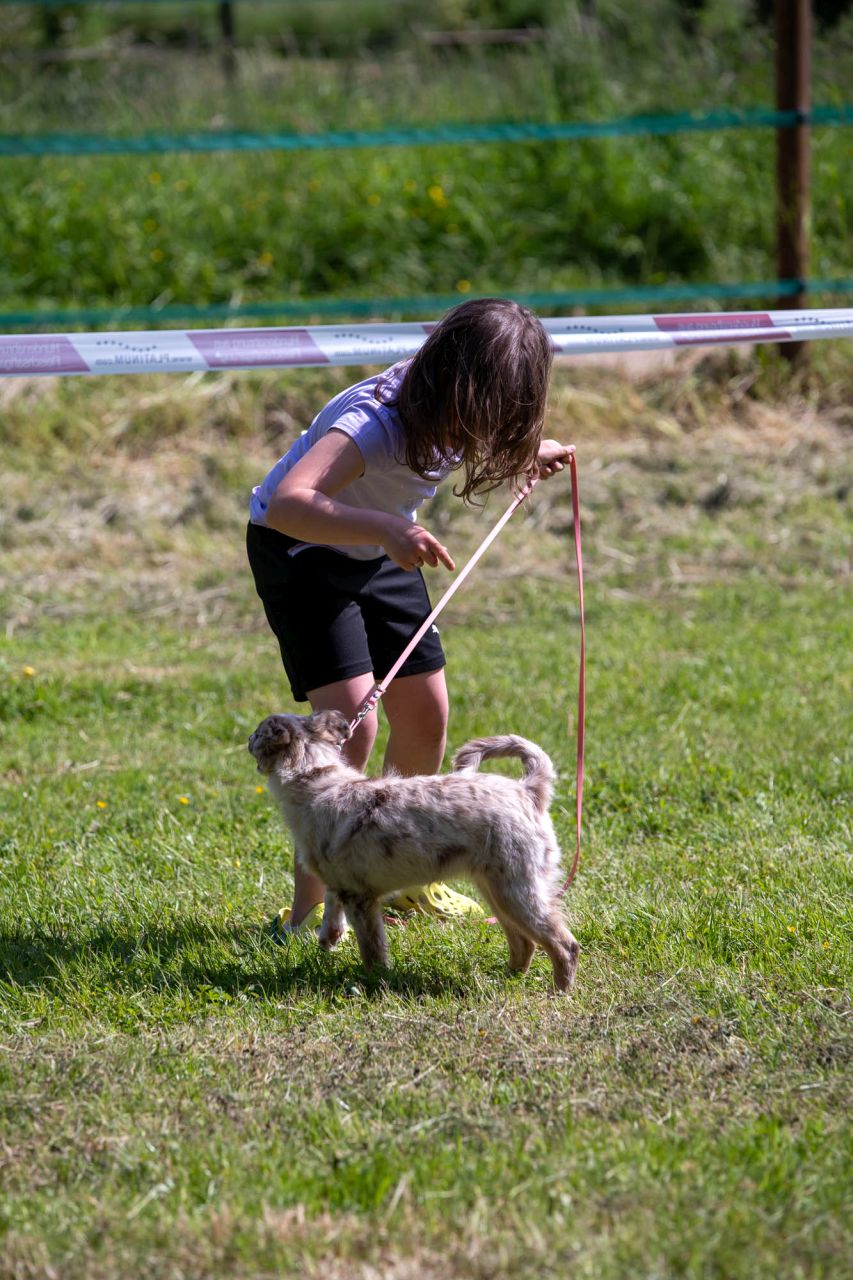 Mini-Aussie - The sunny side of Life